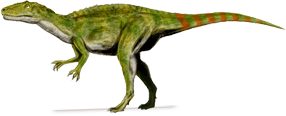 Megaraptora