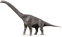 giraffatitan.png