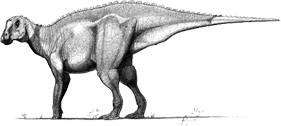gryposaurus-notabilis