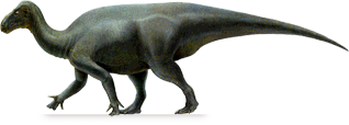 iguanacolossus.png