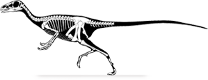 jianchangosaurus.png