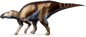 Kundurosaurus (Nobu-Tamura) kundurosaurus.png