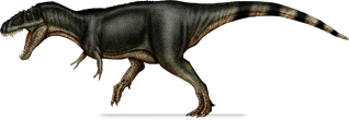 labocania.png