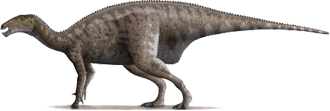 mantellisaurus.png