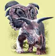 Medusaceratops image