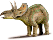 nedoceratops