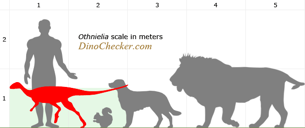othnielia size