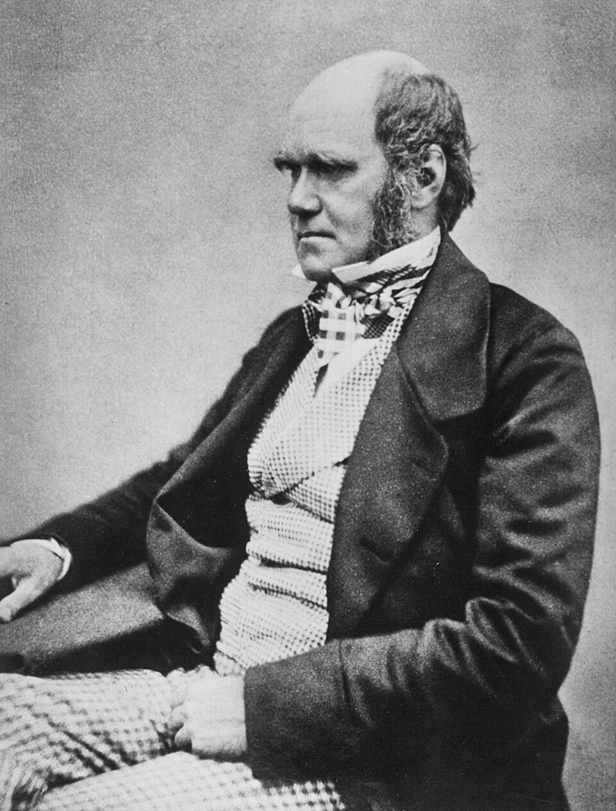 Darwin Darwin