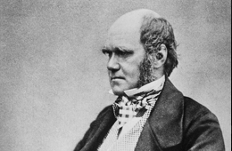 Darwin