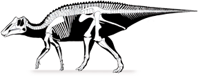 prosaurolophus
