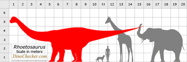 rhoetosaurus size