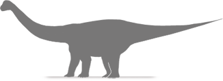 rhoetosaurus