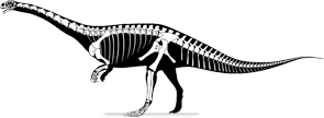 sarahsaurus