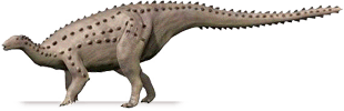 scelidosaurus