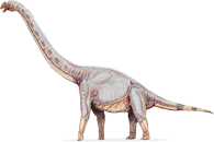 sonorasaurus