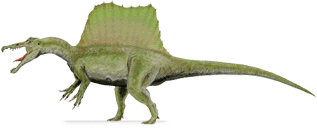spinosaurus