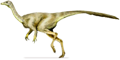 struthiomimus