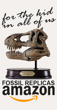 t-rex-skull-model