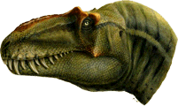 Teratophoneus skull