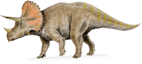 ceratopsidae