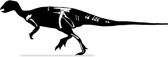 trinisaura.png