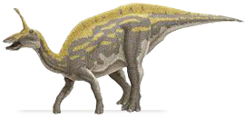 tsintaosaurus.png
