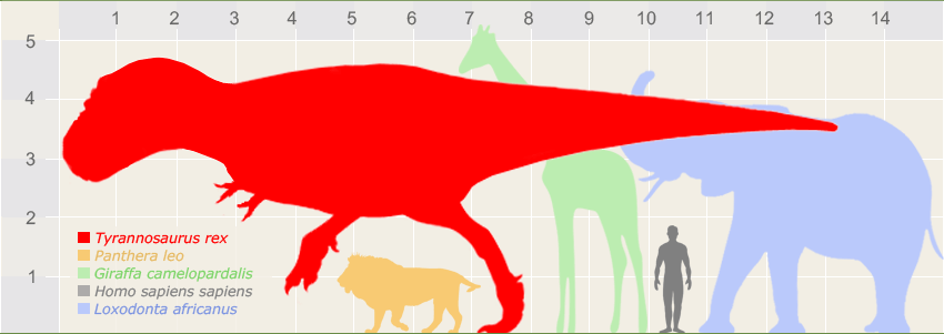 T Rex Size Comparison Chart