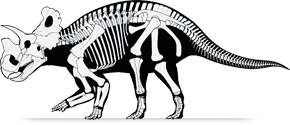 Wendiceratops wendiceratops