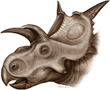 xenoceratops