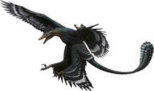 Zhongjianosaurus yangi