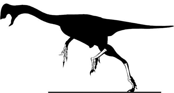 Elmisaurus rarus : DinoChecker Dinosaur Gallery