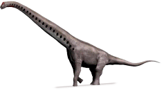 sauroposeidon